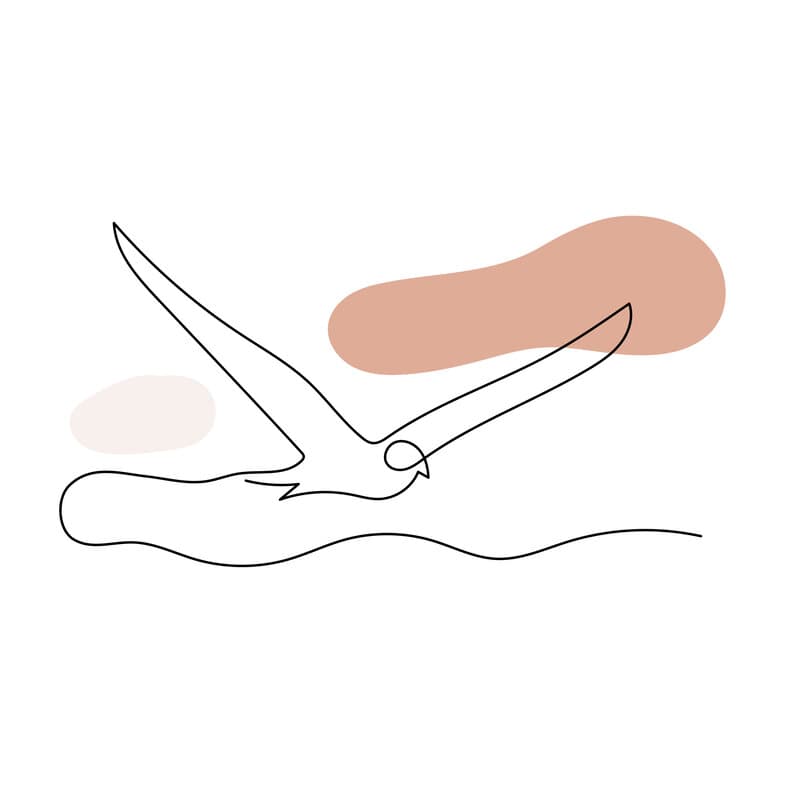 GoBird team