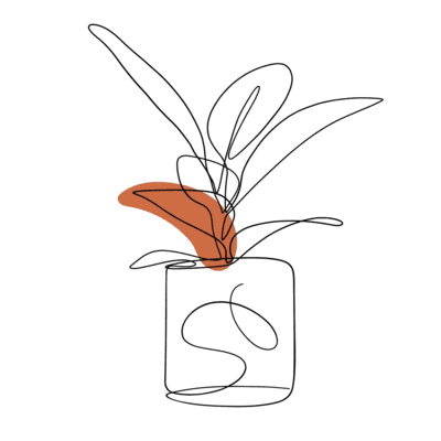 Decorative plant illustration